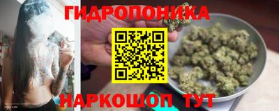 спиды Дмитров