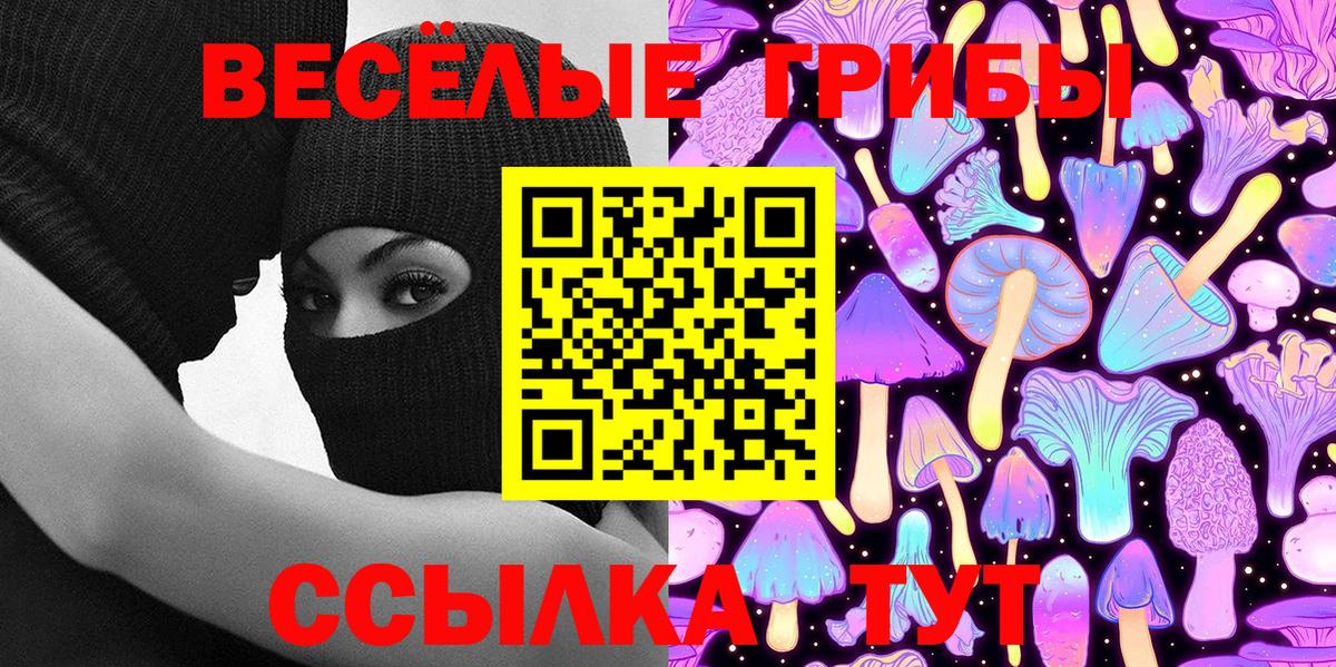 Галлюциногенные грибы Psilocybe  Галлюциногенные грибы GOLDEN TEACHER  как найти наркотики  Вход с VPN  Зерноград 