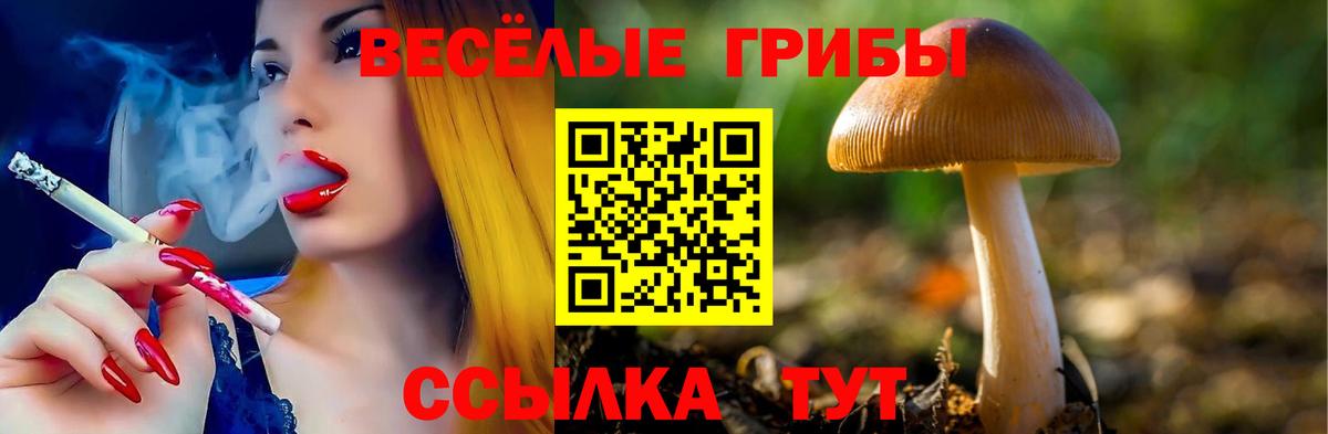 Галлюциногенные грибы ЛСД Зерноград